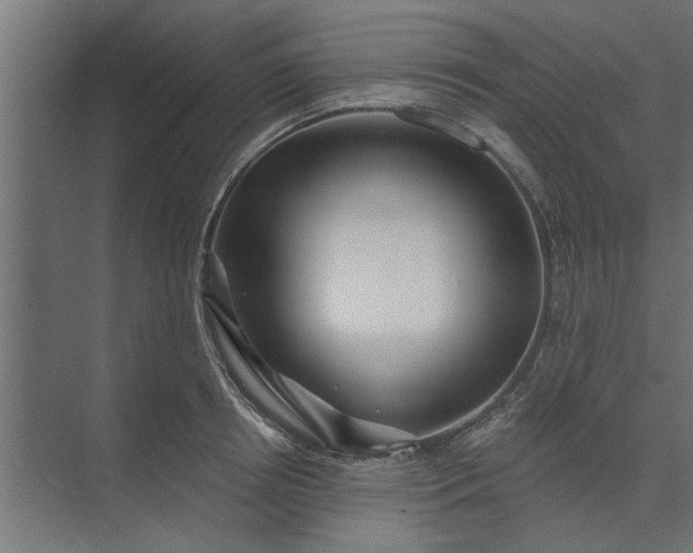 X0000073850850200608241041