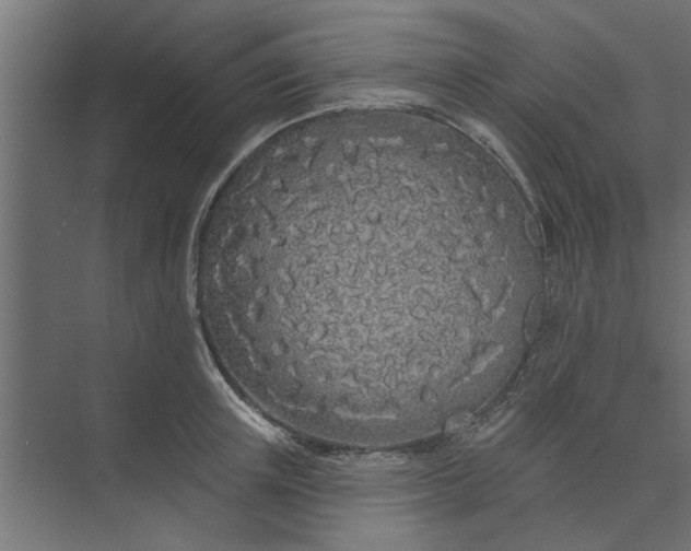 X0000073850851200608241041