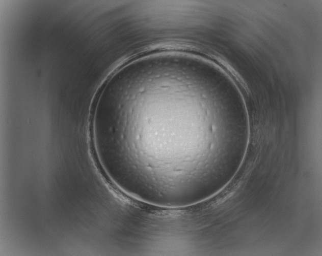 X0000073850853200608241041