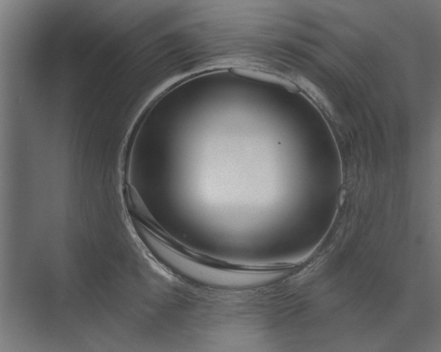 X0000073850854200608241041