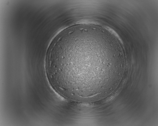 X0000073850855200608241041