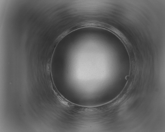 X0000073850857200608241041