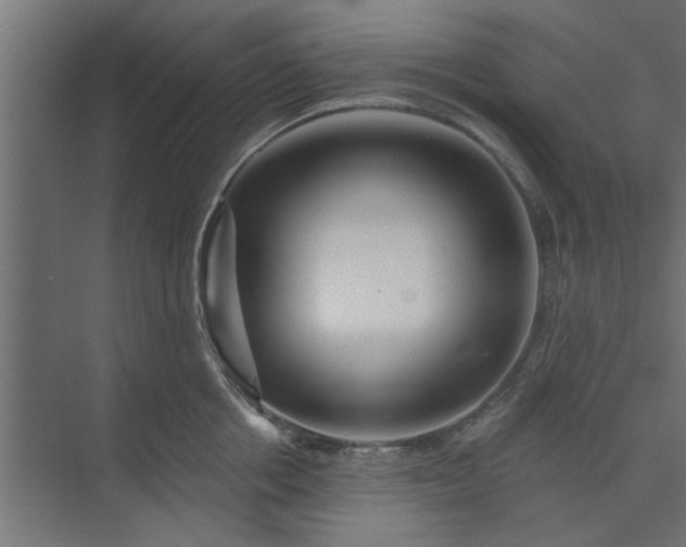 X0000073850858200608241041