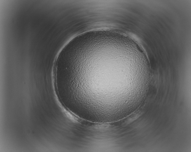 X0000073850859200608241041