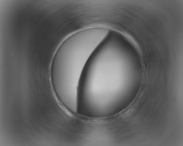 X0000073850862200608241041