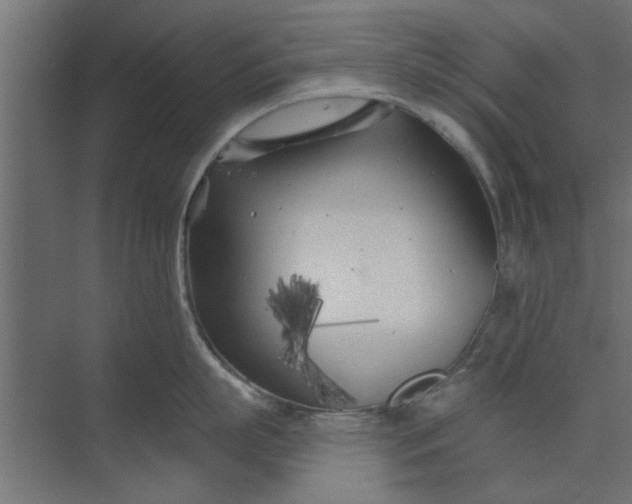 X0000073850863200608241041