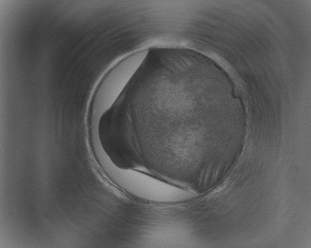 X0000073850864200608241041