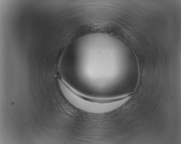 X0000073850868200608241040