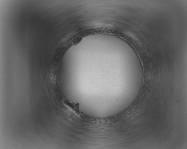 X0000073850869200608241040