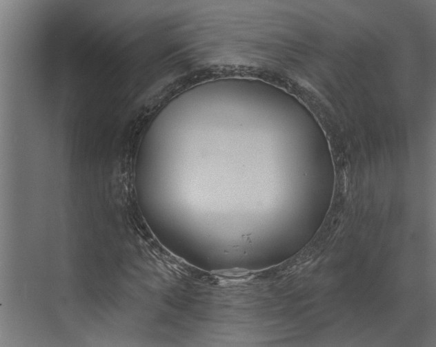 X0000073850870200608241040