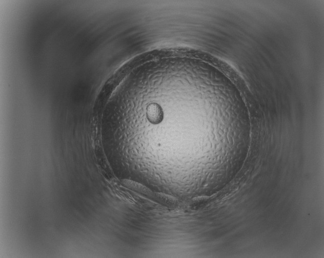 X0000073850871200608241040