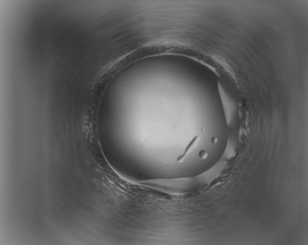 X0000073850872200608241040