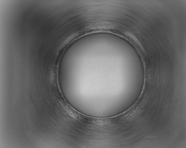 X0000073850874200608241040