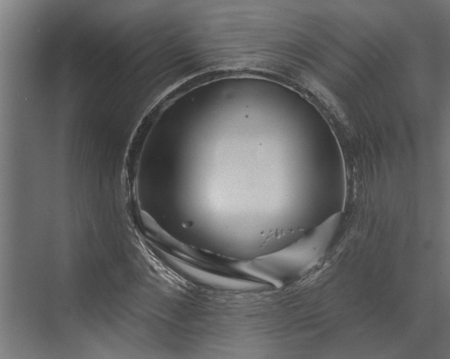 X0000073850876200608241040