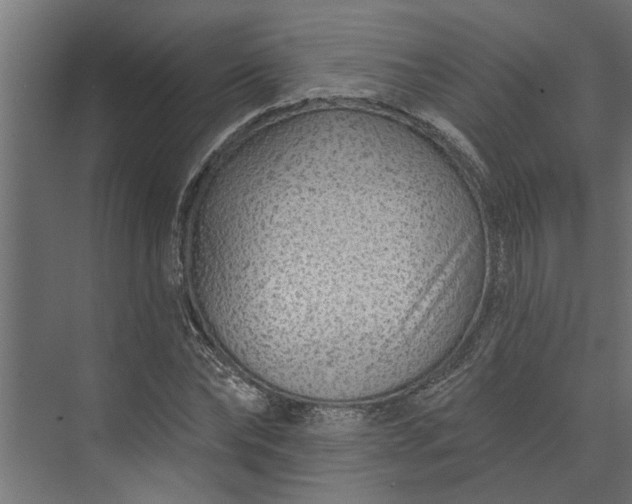 X0000073850878200608241040