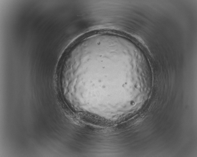 X0000073850879200608241040