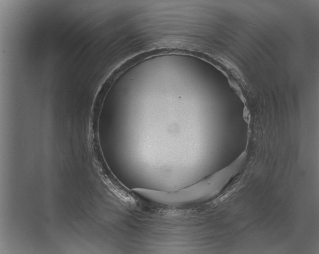 X0000073850880200608241040