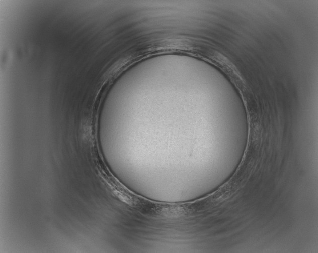 X0000073850882200608241040