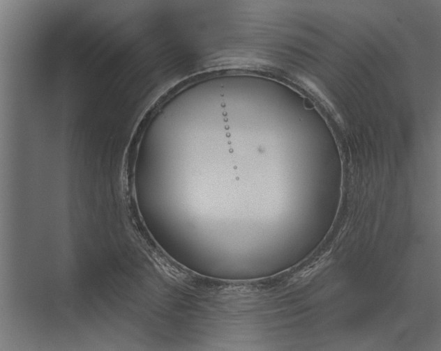 X0000073850883200608241040