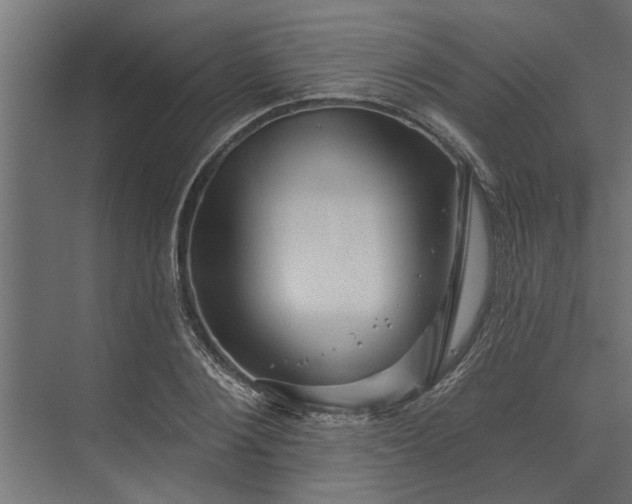 X0000073850884200608241040