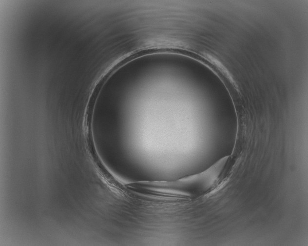 X0000073850885200608241040