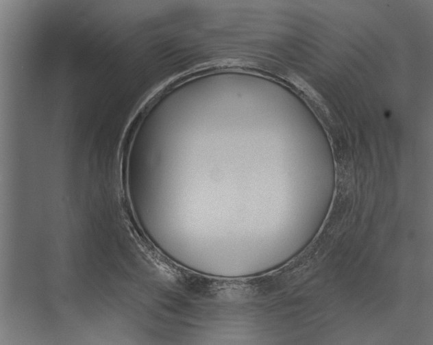 X0000073850886200608241040