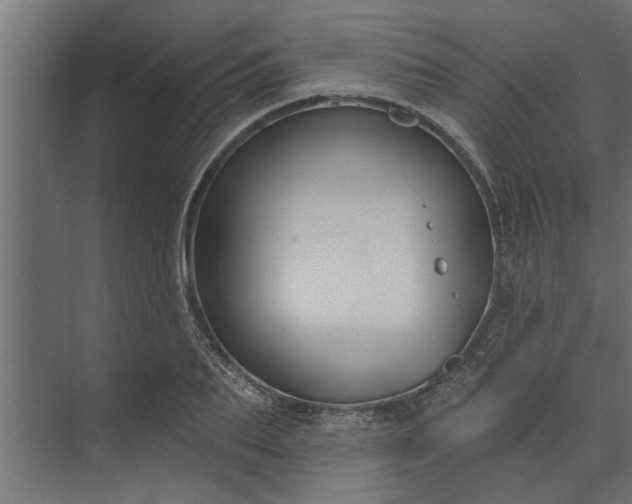 X0000073850887200608241040