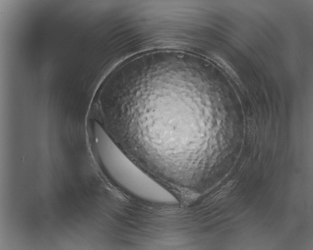 X0000073850891200608241040