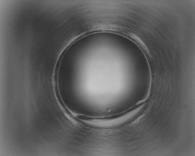 X0000073850893200608241040