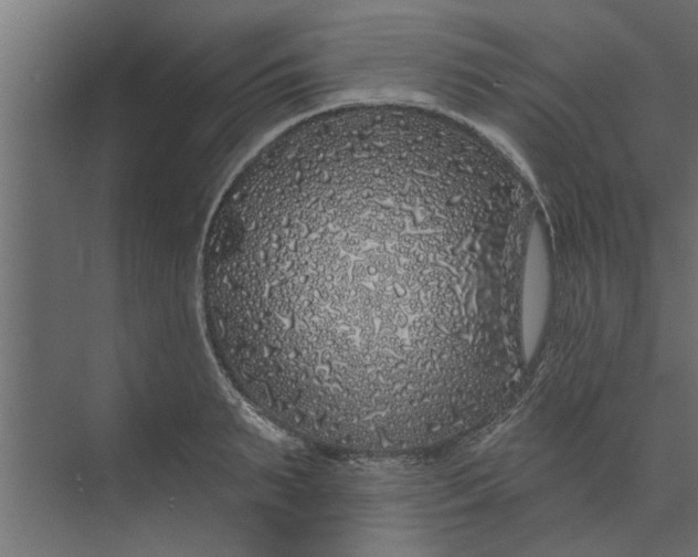 X0000073850895200608241040