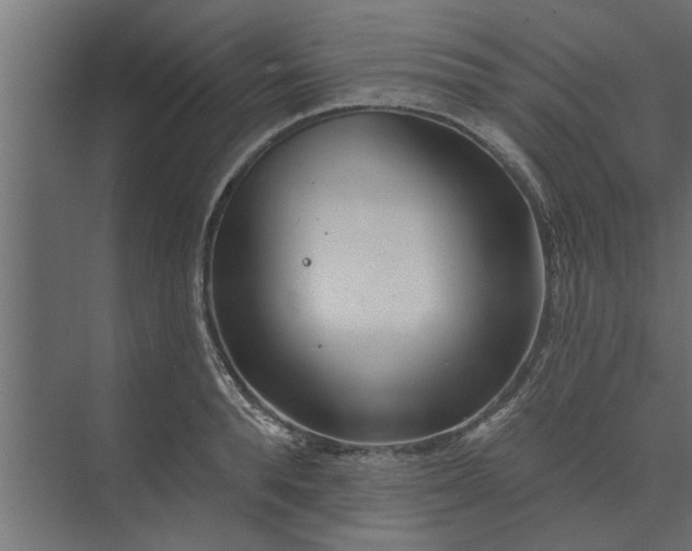 X0000073850896200608241040