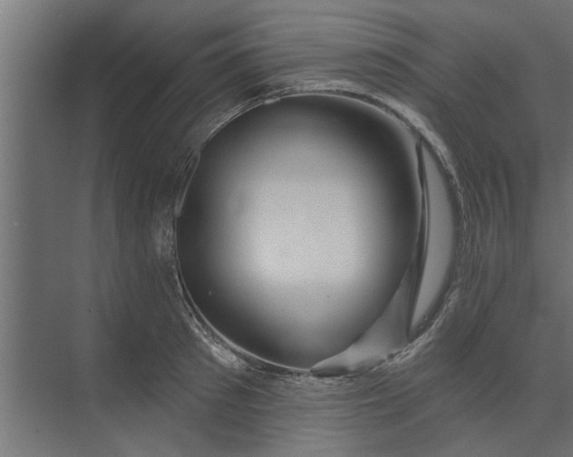 X0000073850897200608241039