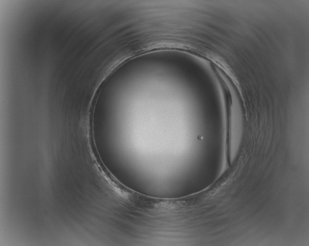 X0000073850898200608241039