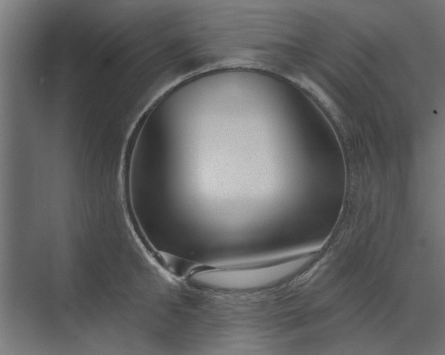 X0000073850902200608241039