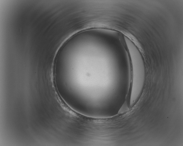 X0000073850904200608241039