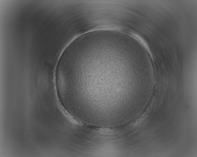 X0000073850907200608241039