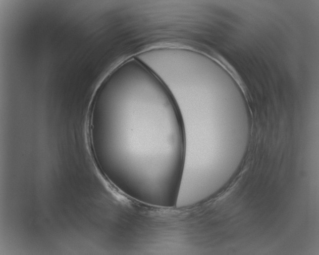 X0000073850909200608241039