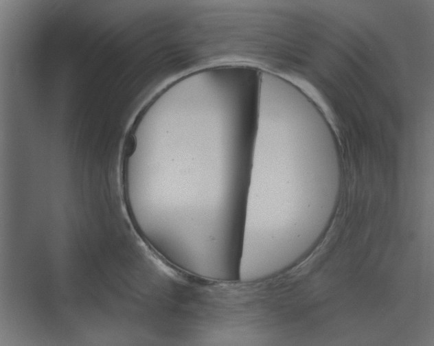 X0000073850910200608241039