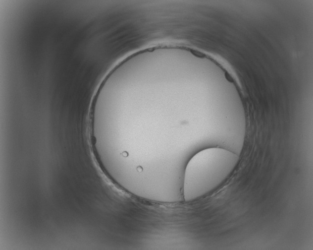 X0000073850911200608241039