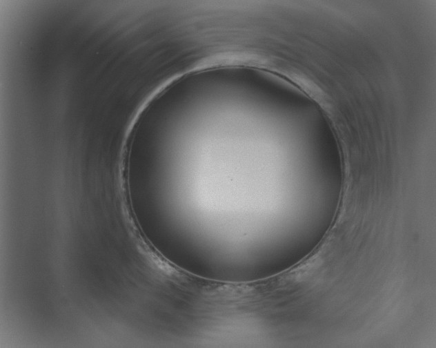 X0000073850912200608241039