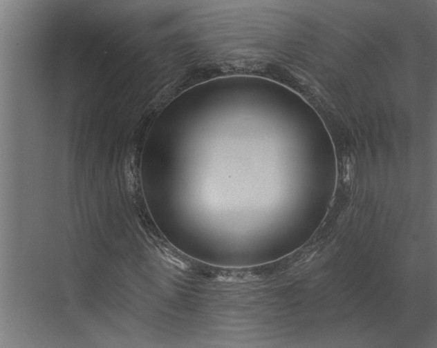 X0000073850915200608241038