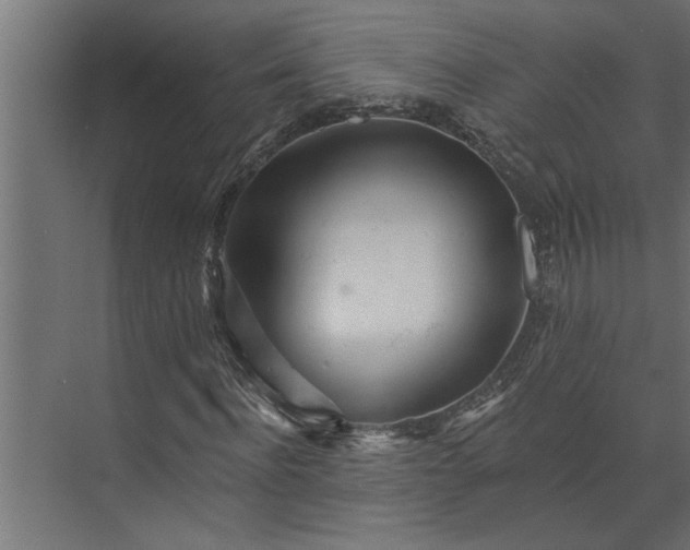 X0000073850916200608241038