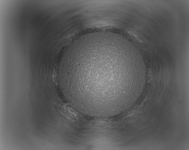 X0000073850917200608241039