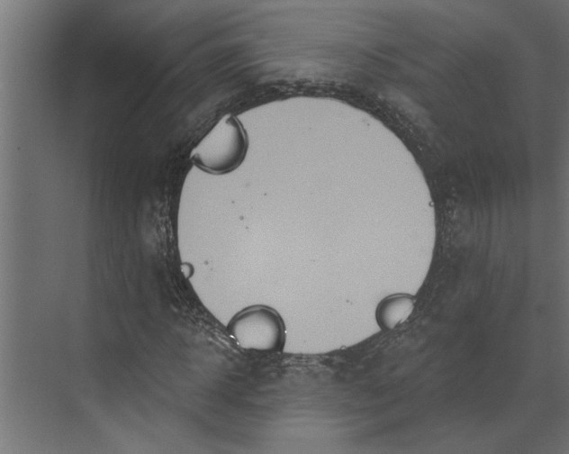 X0000073850918200608241039