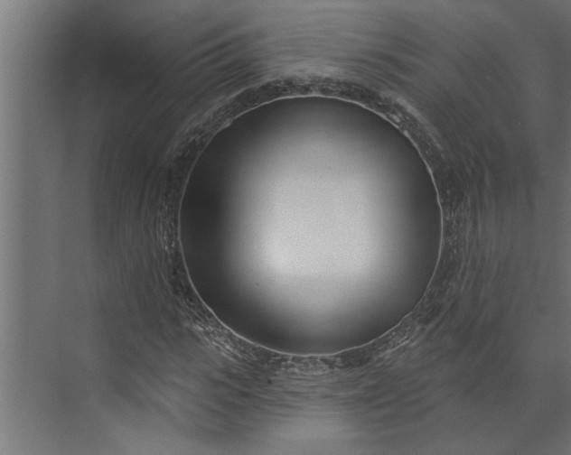 X0000073850919200608241039