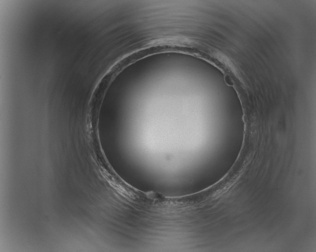 X0000073850923200608241039