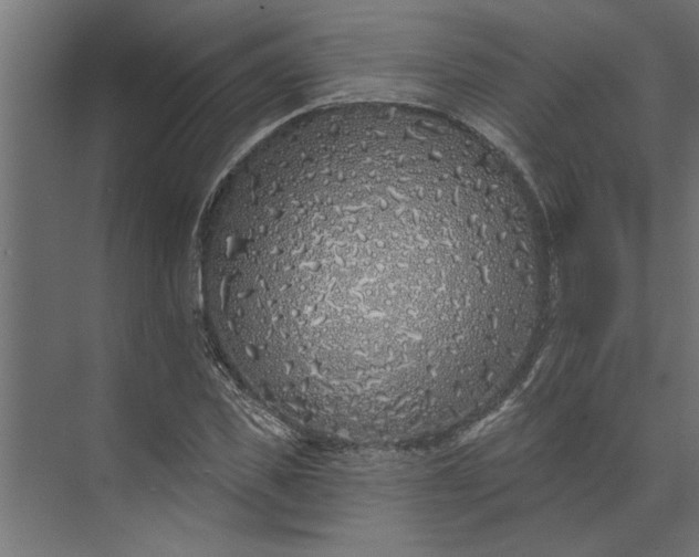 X0000073850925200608241039