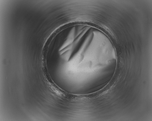 X0000073850926200608241039