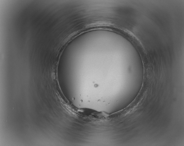 X0000073850929200608241039