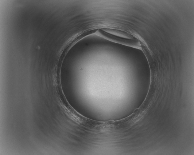 X0000073850930200608241039